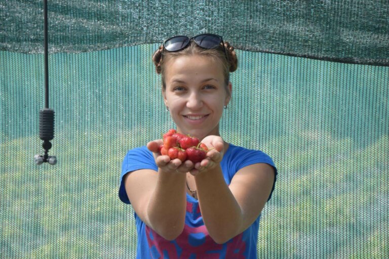 Клубничный рай