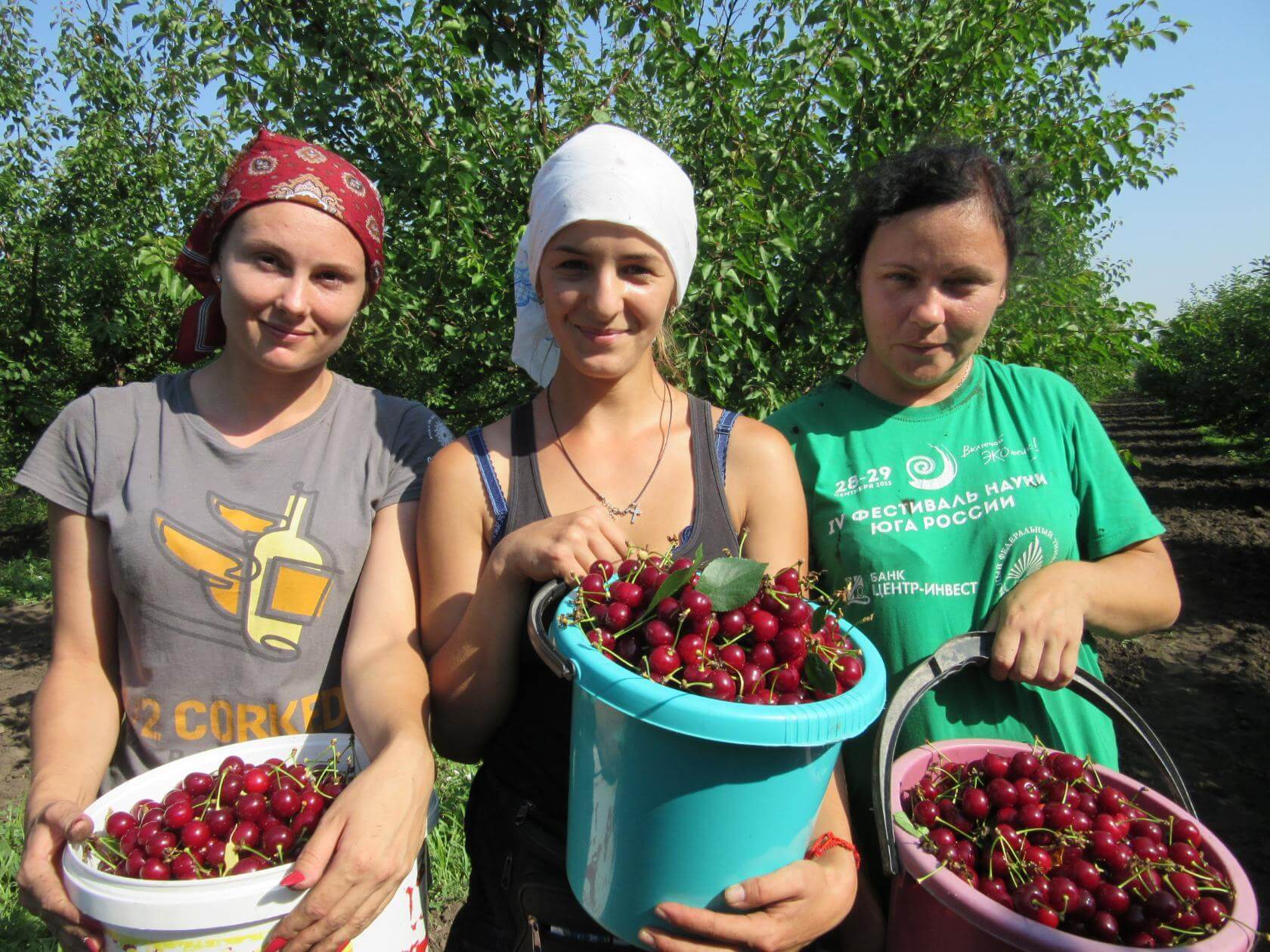1 наталья татусяк, иега котеля, ольга падурец