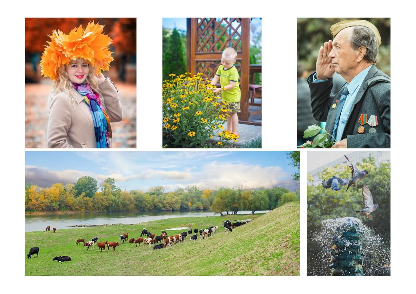 Безымянный-1