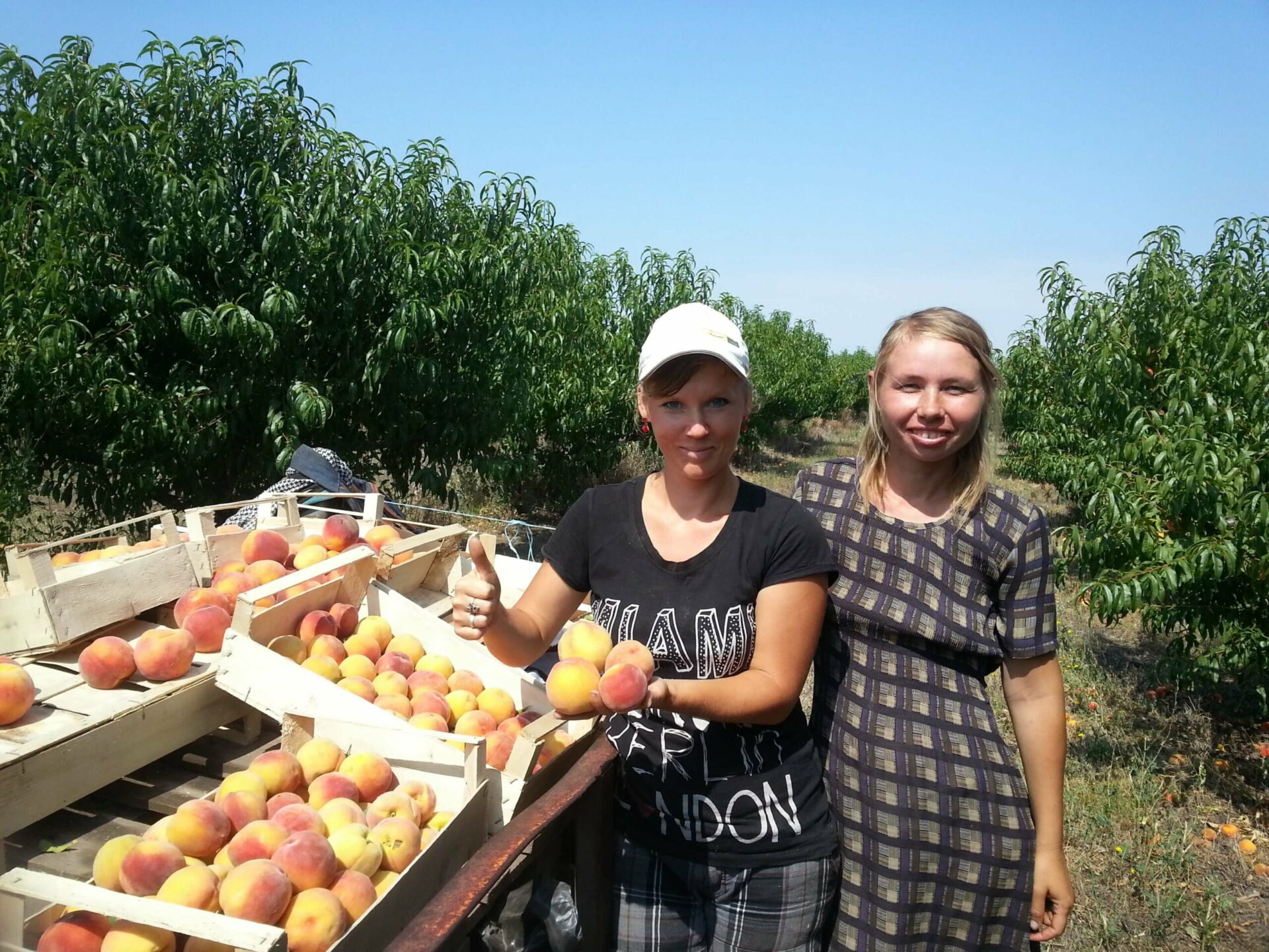 звеньевая - Татьяна Дилигур и упаковщица Светлана Марин