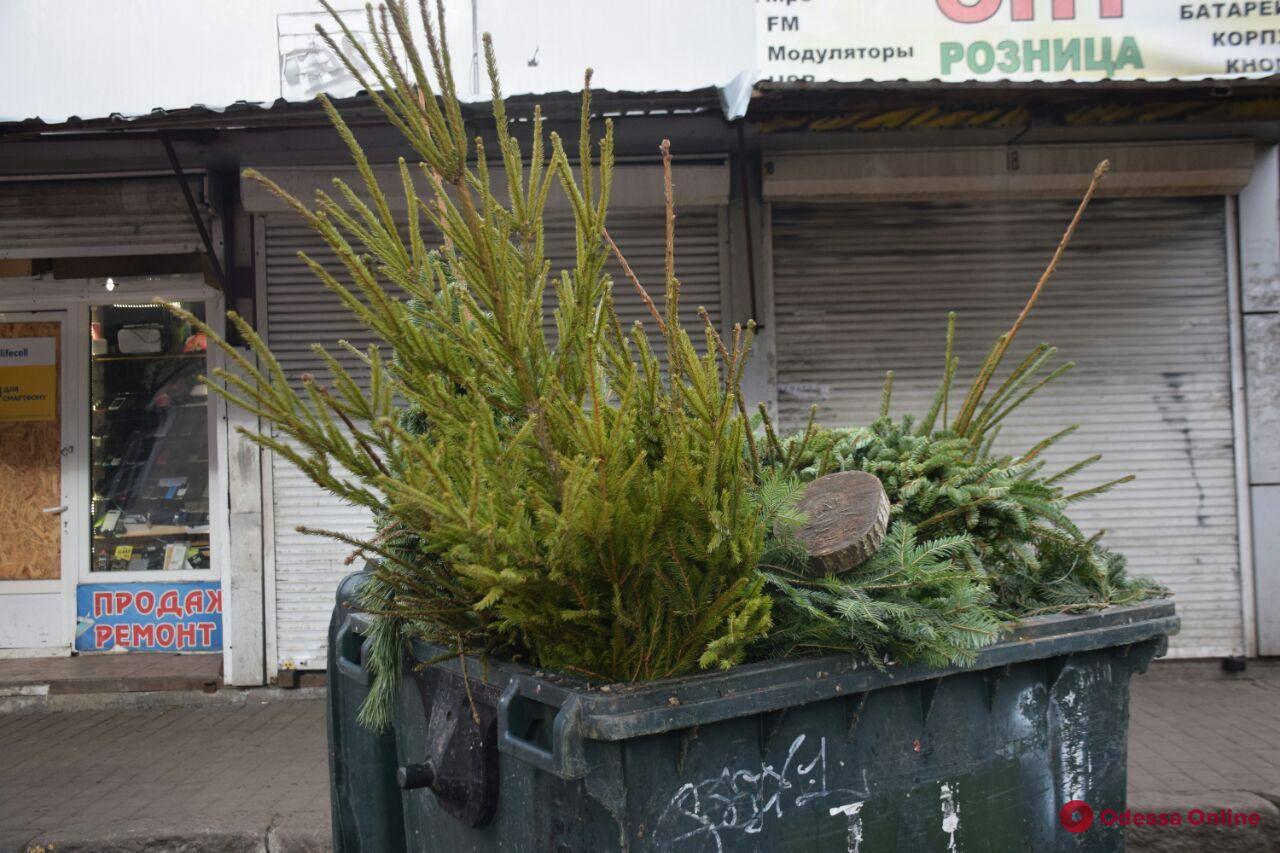 ёлка в мусорке
