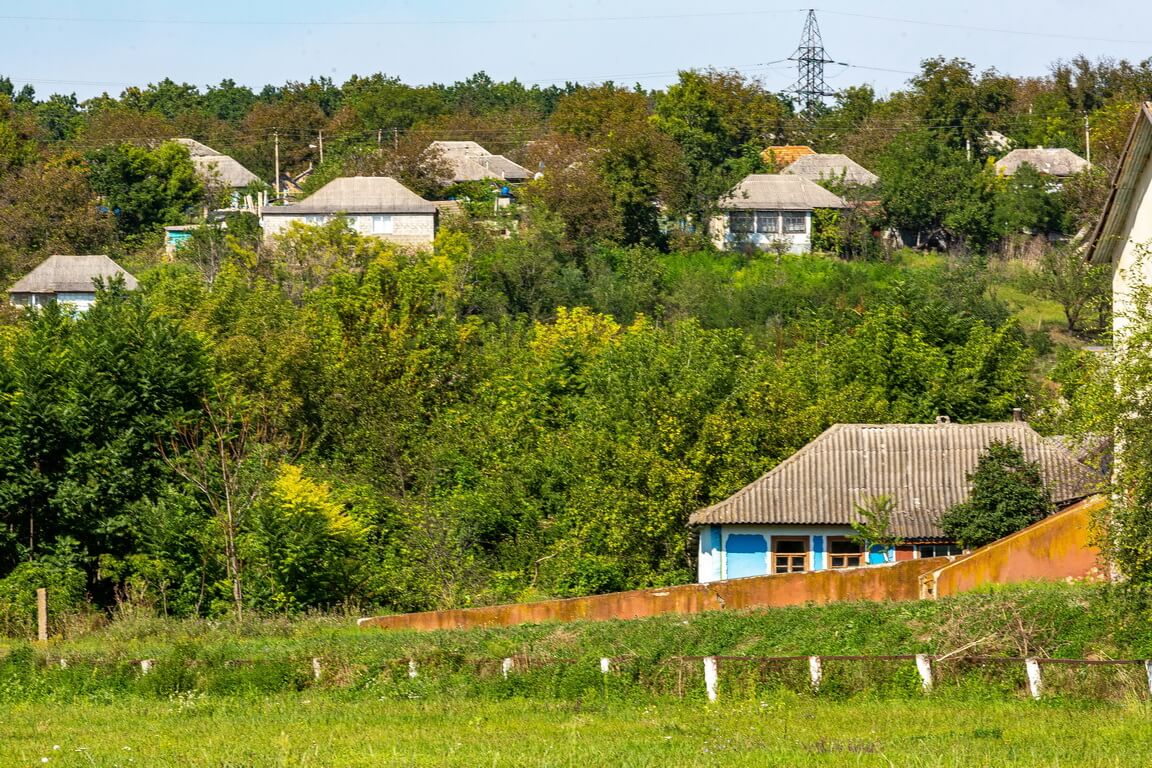 Чтобы «тропики» не были печальными — Газета Приднестровье