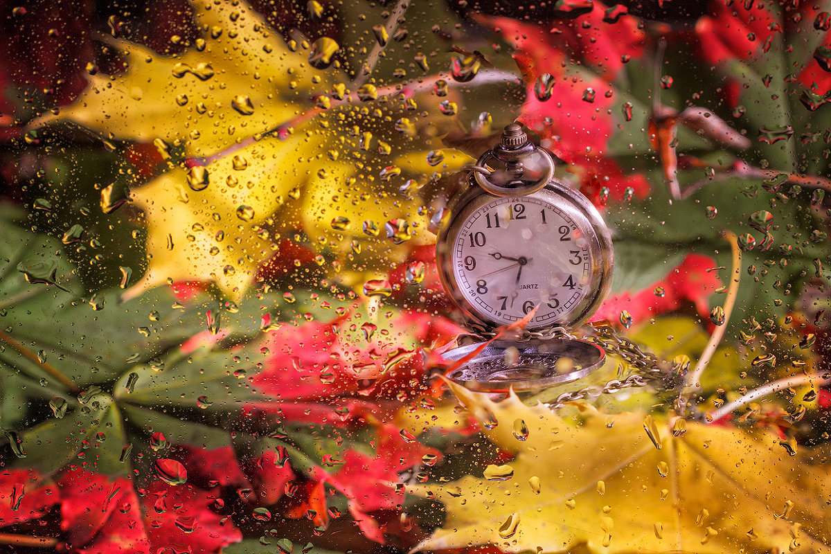 Часы бьют время. Осенние часы. Часы в осенних листьях. Сказочные осенние часы. Мгновения осени.