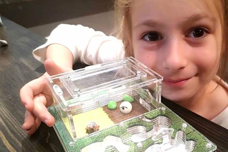 Кто такие мирмикиперы?