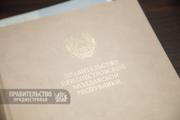 20240325-1p3a8715-585x390