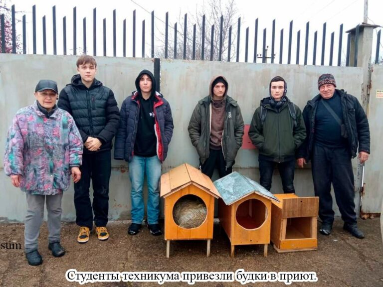 Бездомные животные рождаются дома