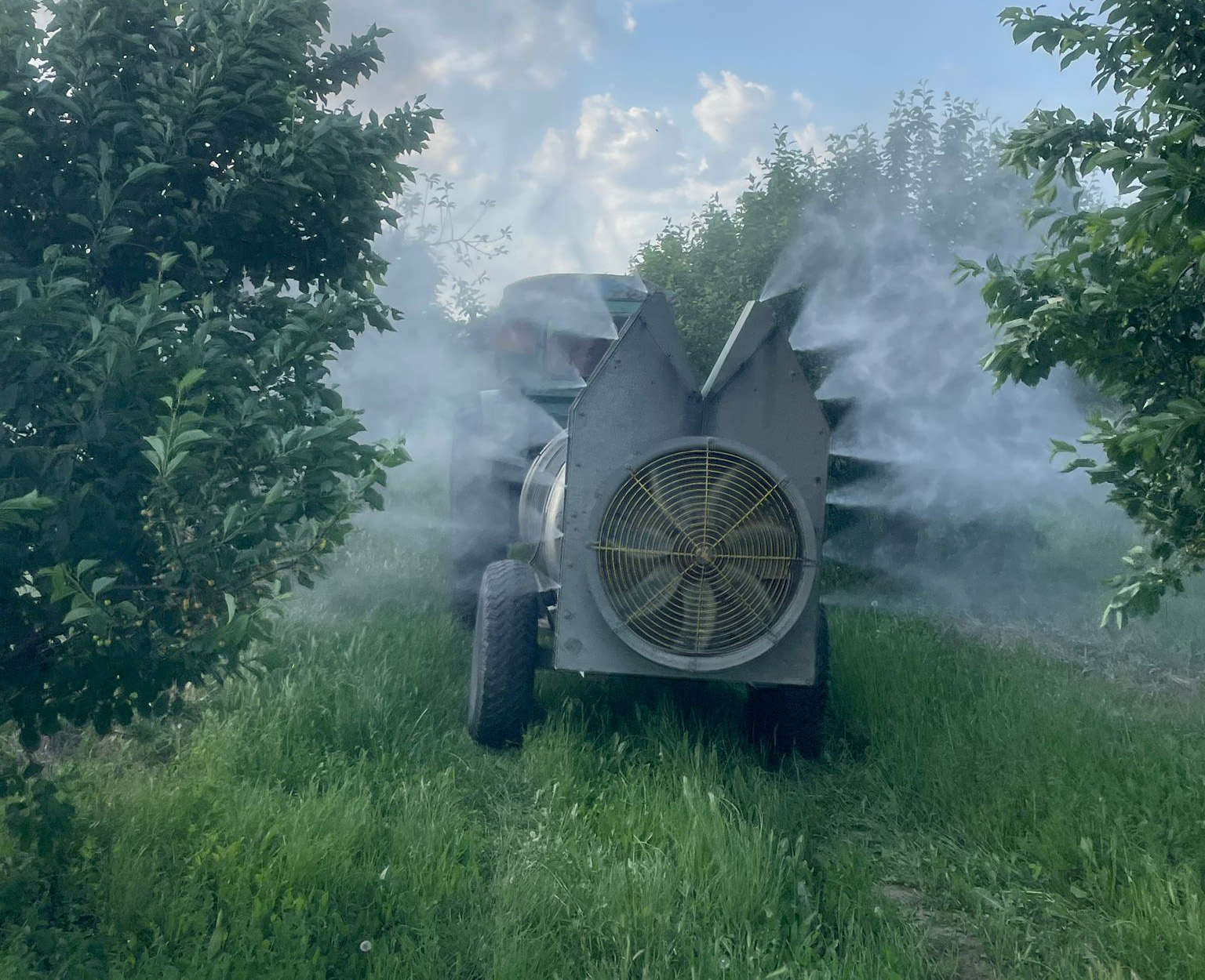 Изображение WhatsApp 2025-06-06 в 09.25.47_ee428a85 копия