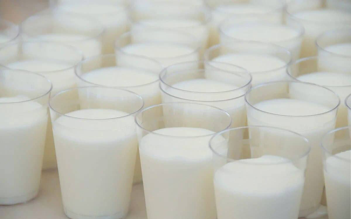 photo_2024-06-05_16-13-09_1 копия