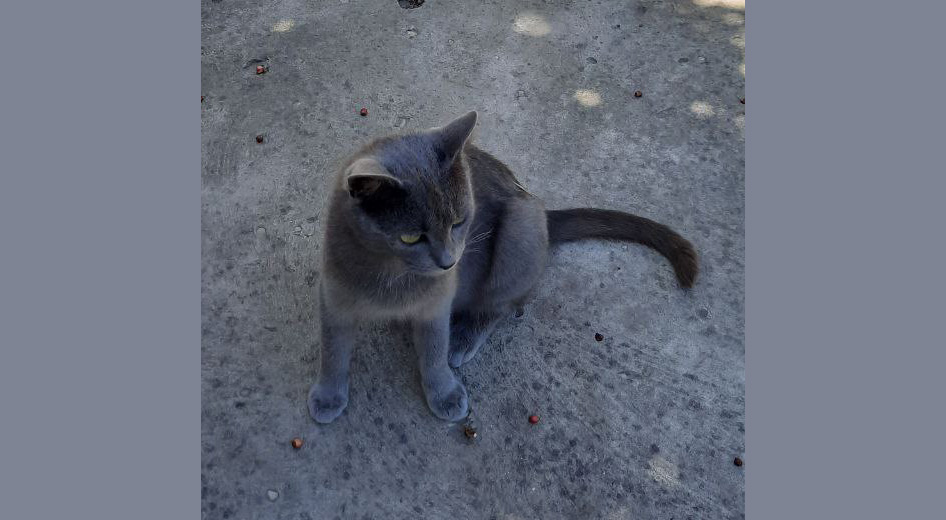 photo_2025-06-25_09-34-31 копия