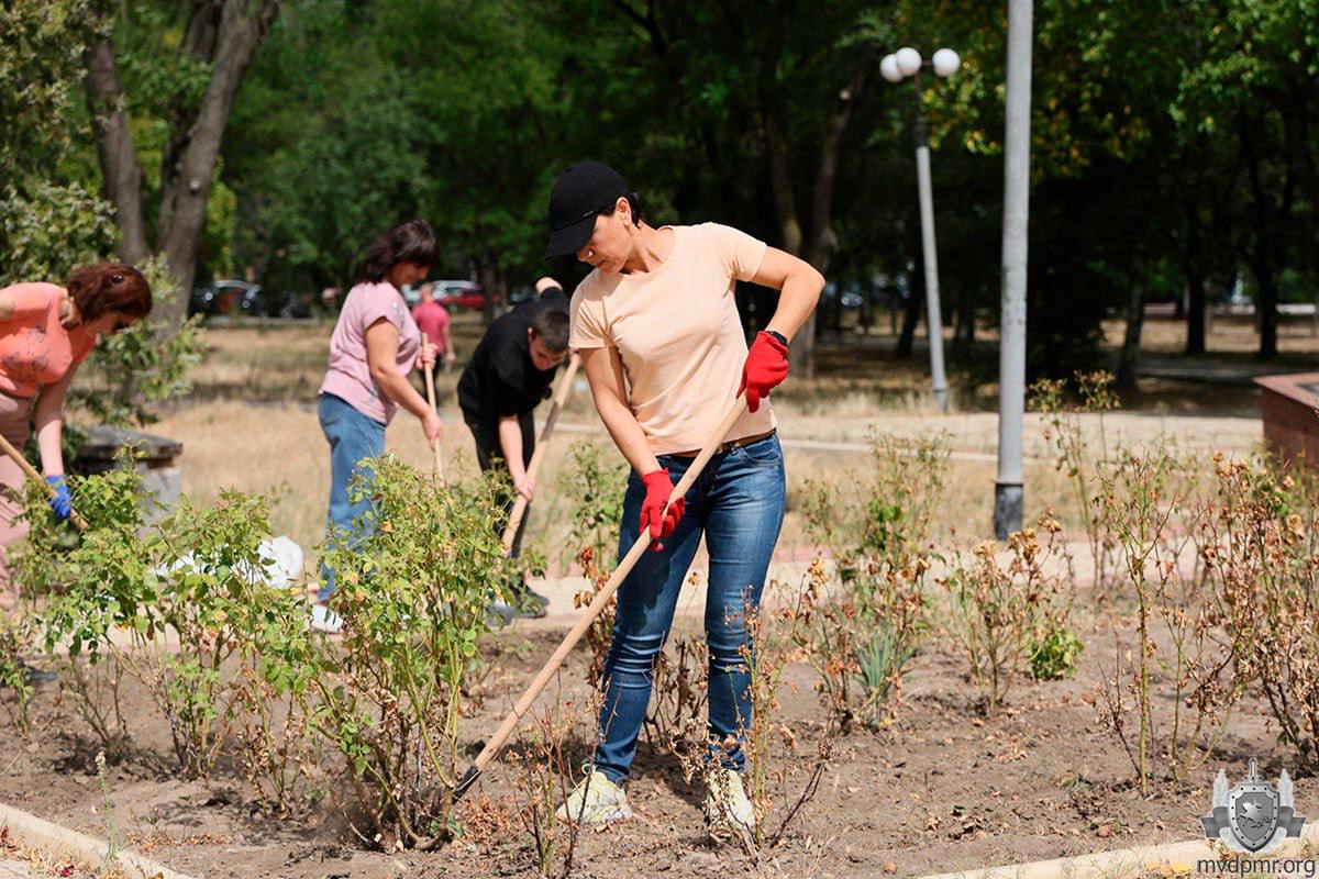 705c0dc30e820076a7fee82df4c271f4_o