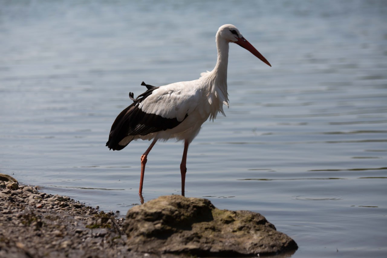 photo_2025-09-04_22-57-52 (2)