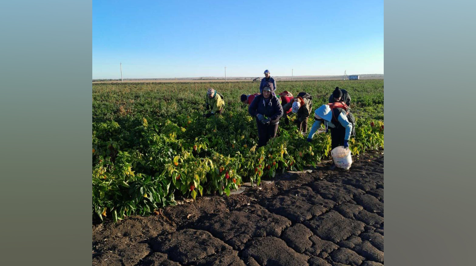 IMG_20250929_162204_458 копия