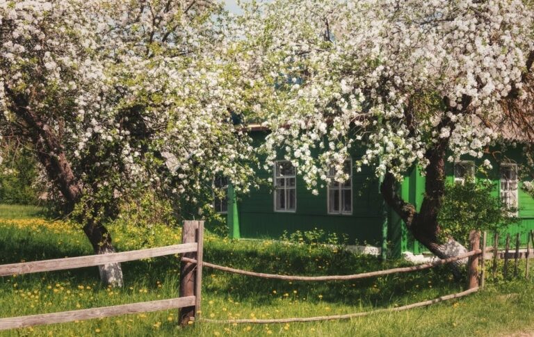 Вдали от шума городского…