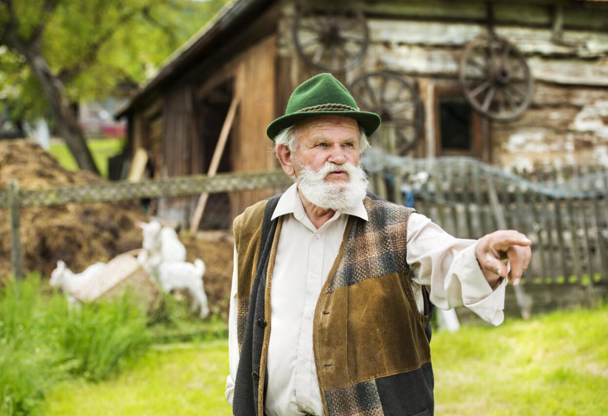 Просто хозяин фото из открытых источников копия